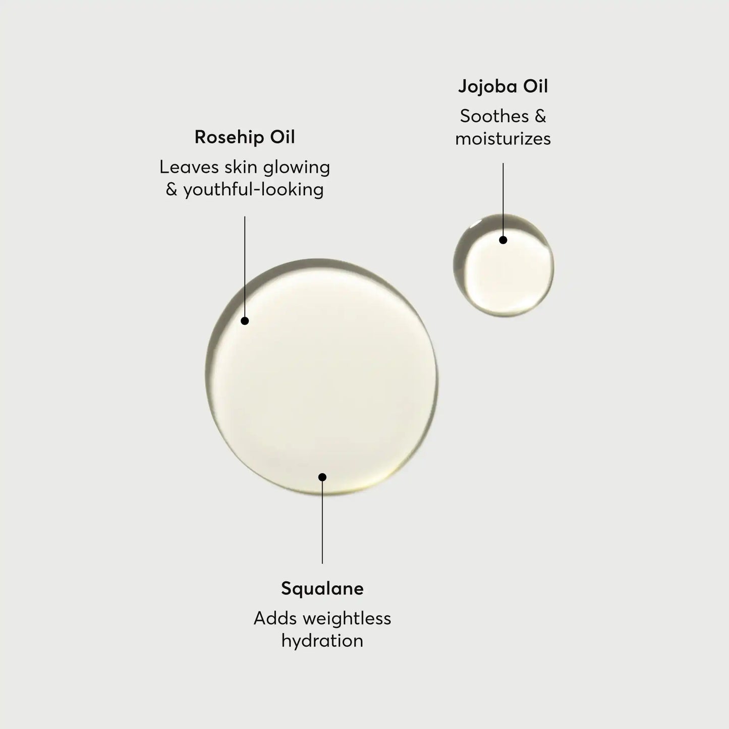 the-glow-getter-body-oil-l2 NATR-10115-Alt-Images-The-Glow-Getter-Body-Oil-01.webp