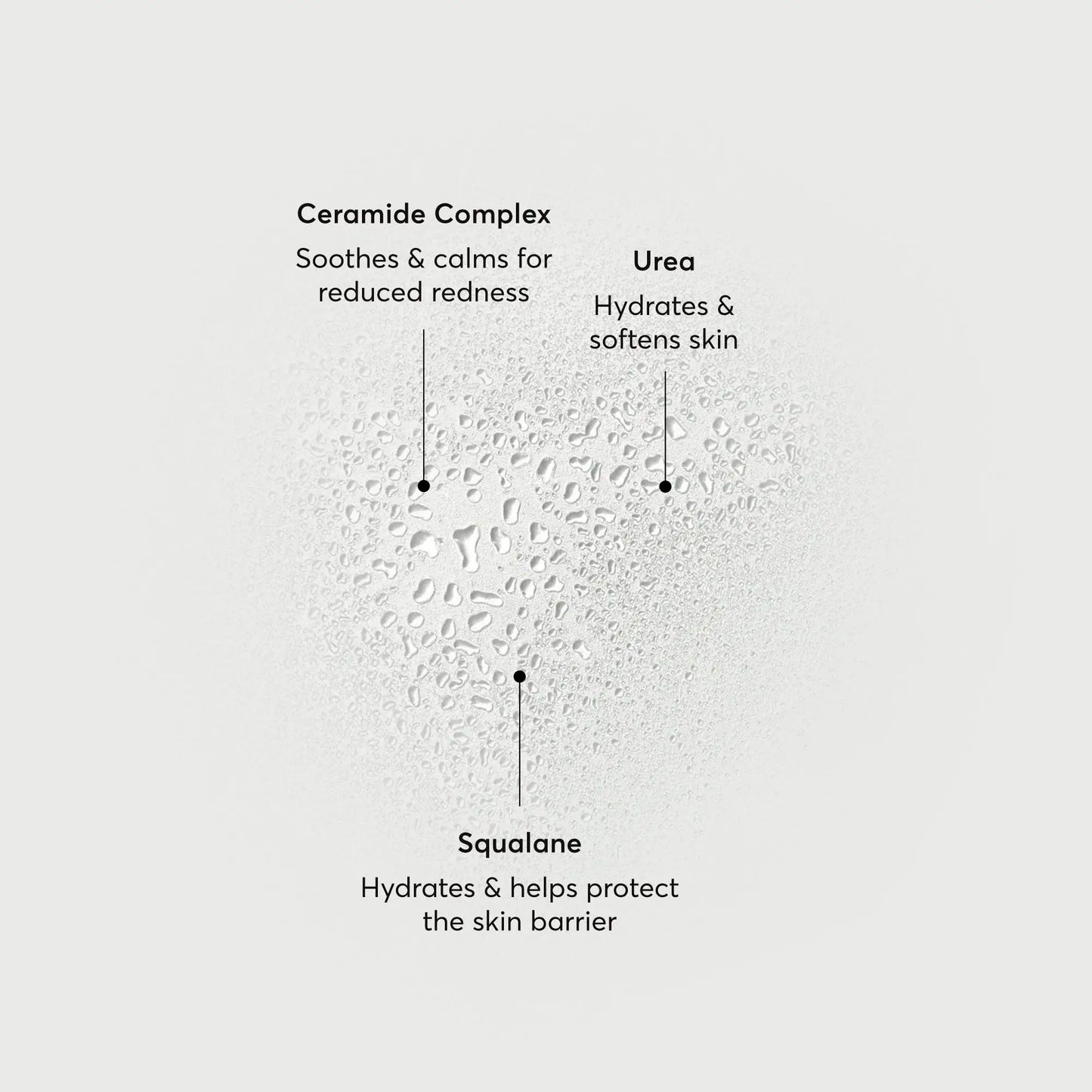 barrier-bounce-bi-phase-mist-y4 NATR-10167-Alt-Images-Barrier-Bounce-Bi-Phase-Toner-Mist_01.webp