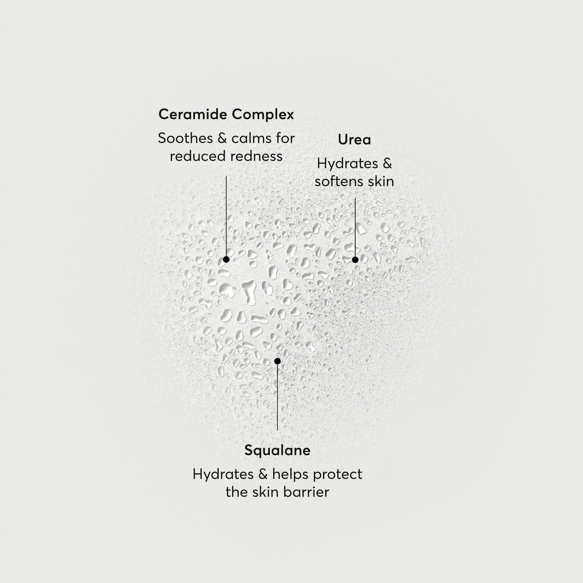 barrier-bounce-bi-phase-mist-y4 NATR-10167-Alt-Images-Barrier-Bounce-Bi-Phase-Toner-Mist_01.webp