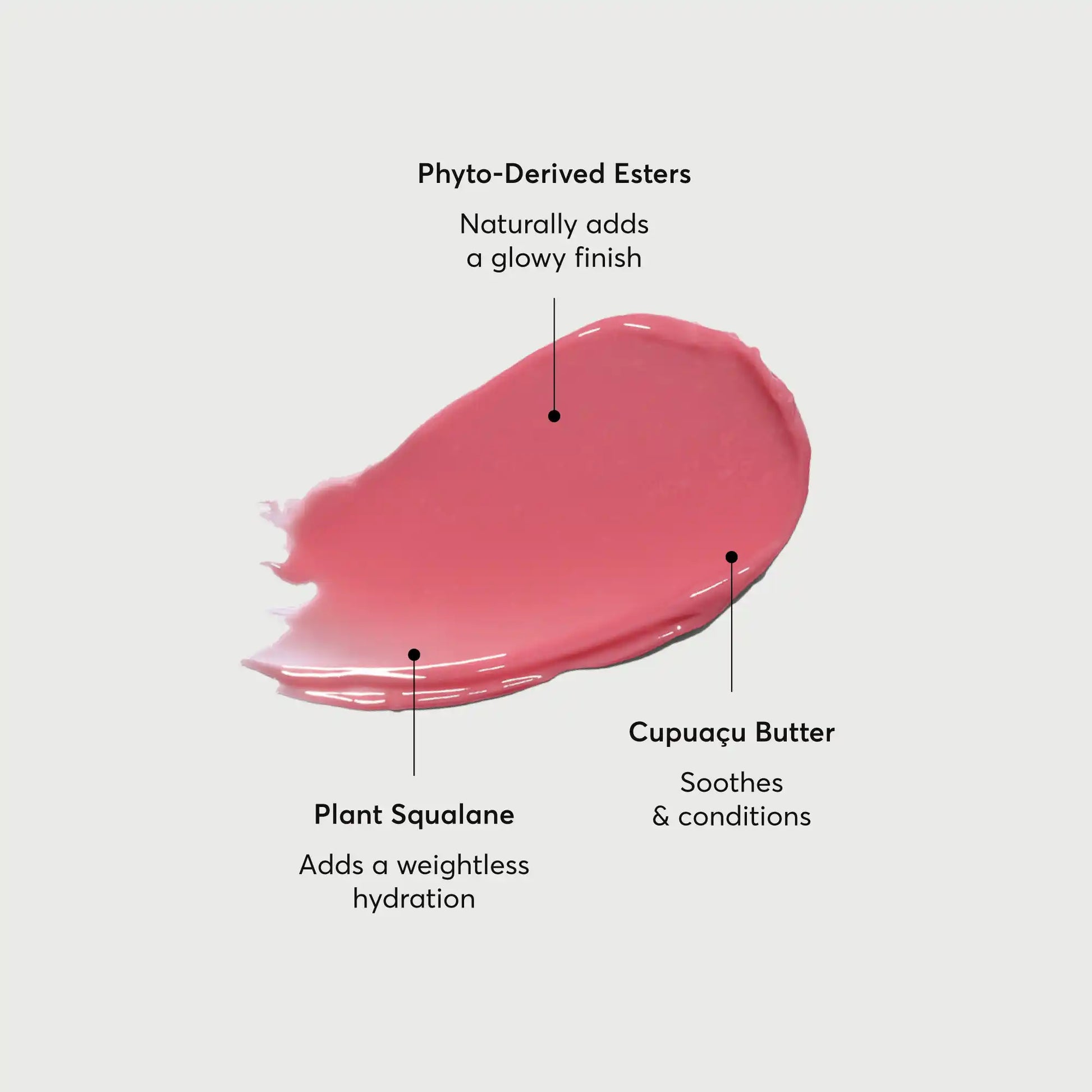 phyto-glow-lip-balm-petal-w6 NATR-60067-Alt-Images-Phyto-Glow-Lip-Balm-Petal-01.webp