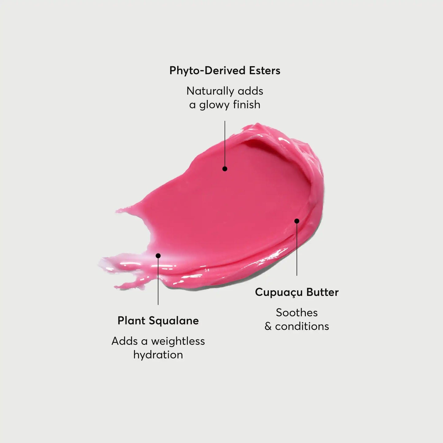 phyto-glow-lip-balm-camellia-g0 NATR-60075-Alt-Images-Phyto-Glow-Lip-Balm-Camellia-01.webp